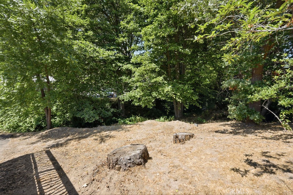 568 Forest Shade Property Photo 31
