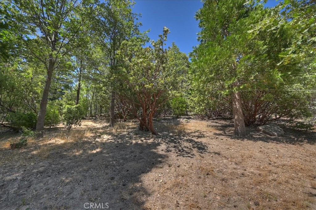 499 Golf Course Property Photo 47