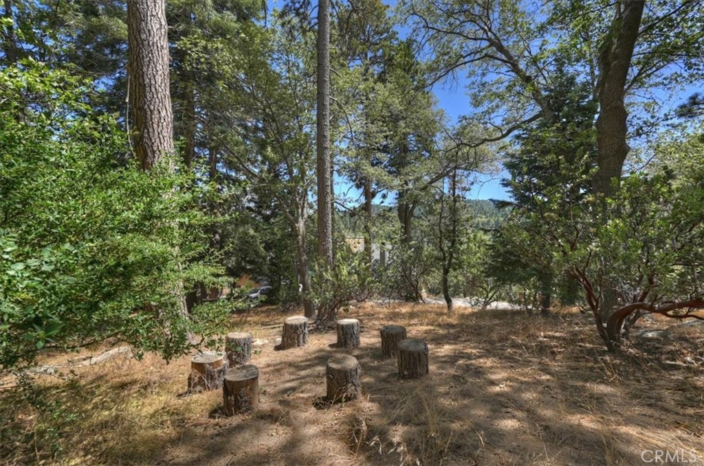 26375 Augusta Property Photo 38