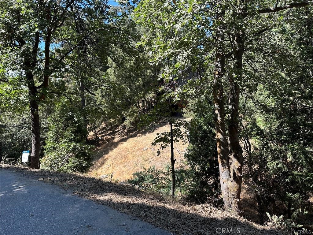 24960 Saxon Drive Property Photo 2