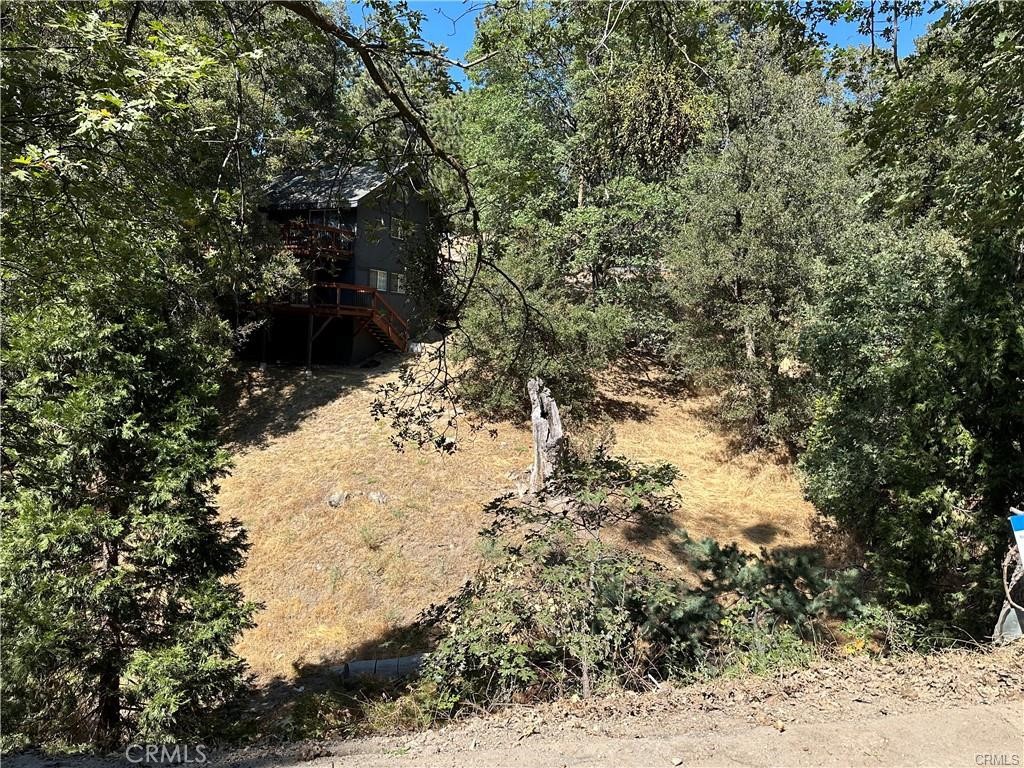 24960 Saxon Drive Property Photo 6