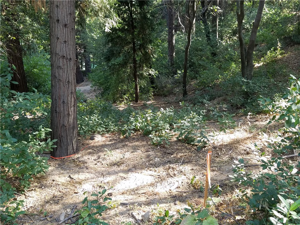 24093 Zurich Drive Property Photo 12