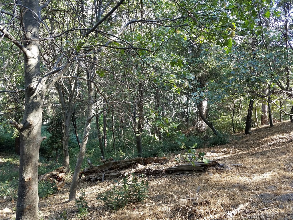 24093 Zurich Drive Property Photo 15