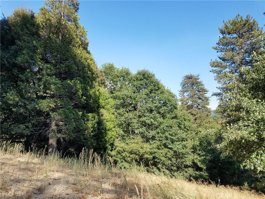 24093 Zurich Drive Property Photo 20
