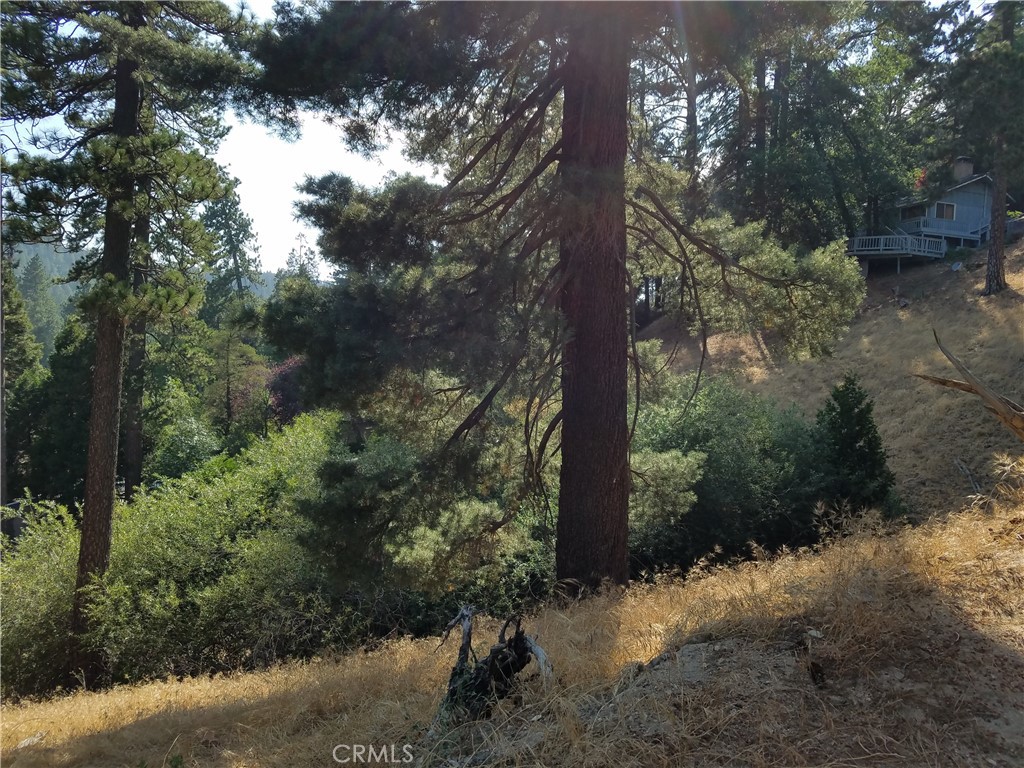 24093 Zurich Drive Property Photo 21