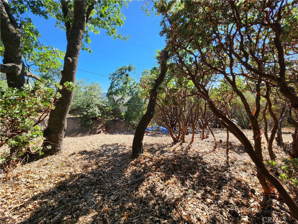 1251 Glacier Drive Property Photo 8