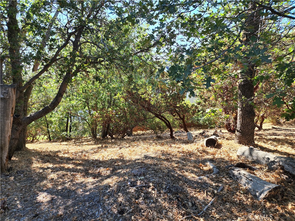 1248 Glacier Drive Property Photo 2