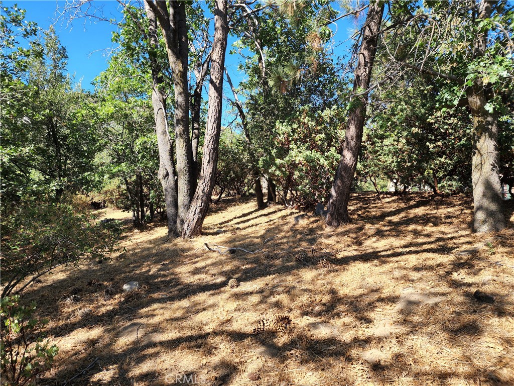 1248 Glacier Drive Property Photo 7