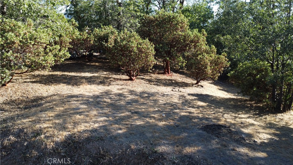 1248 Glacier Drive Property Photo 11