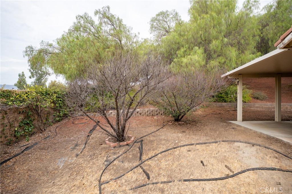 31600 Saddle Ridge Drive Property Photo 36