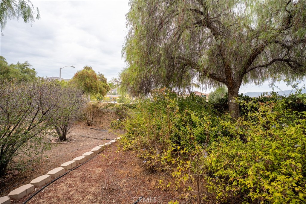 31600 Saddle Ridge Drive Property Photo 39