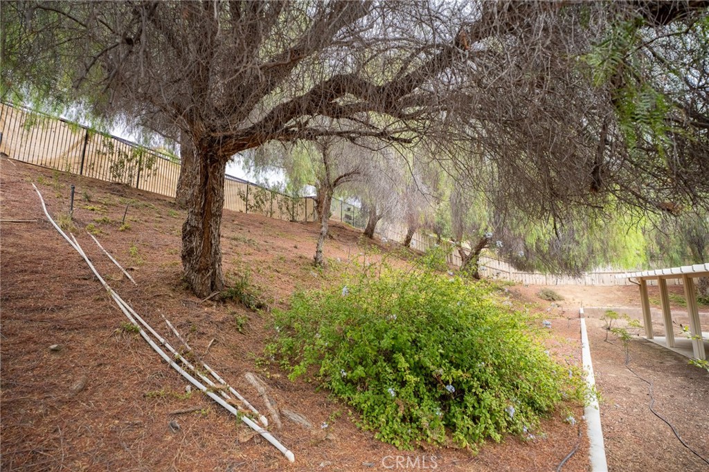 31600 Saddle Ridge Drive Property Photo 41