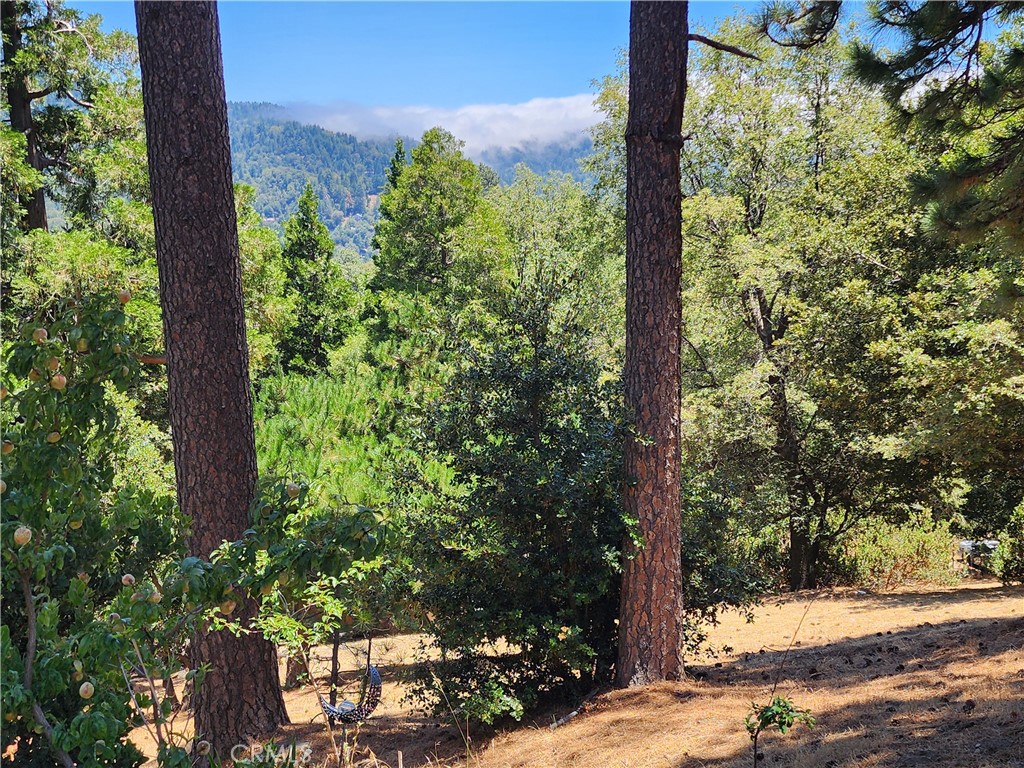 315 Weisshorn Drive Property Photo 19