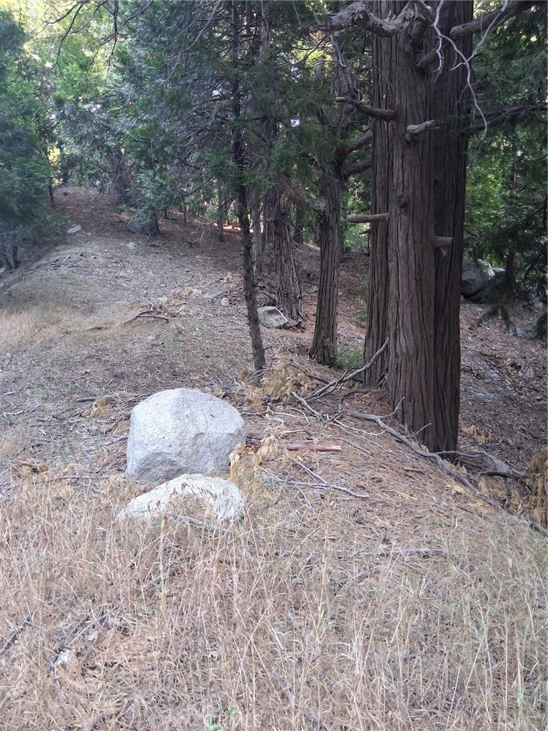 6 Finhaut Drive Property Photo 2