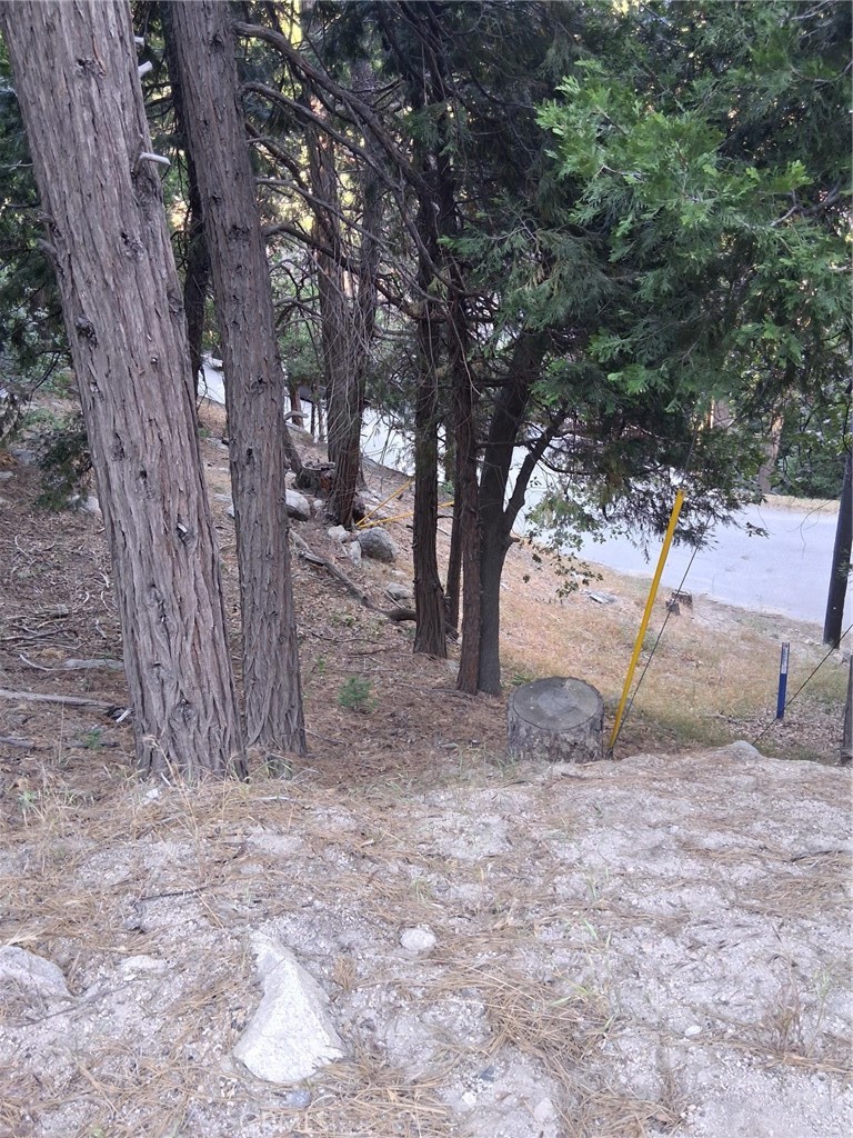 6 Finhaut Drive Property Photo 3