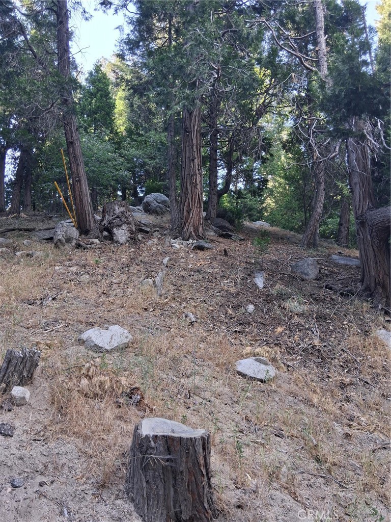 6 Finhaut Drive Property Photo 5