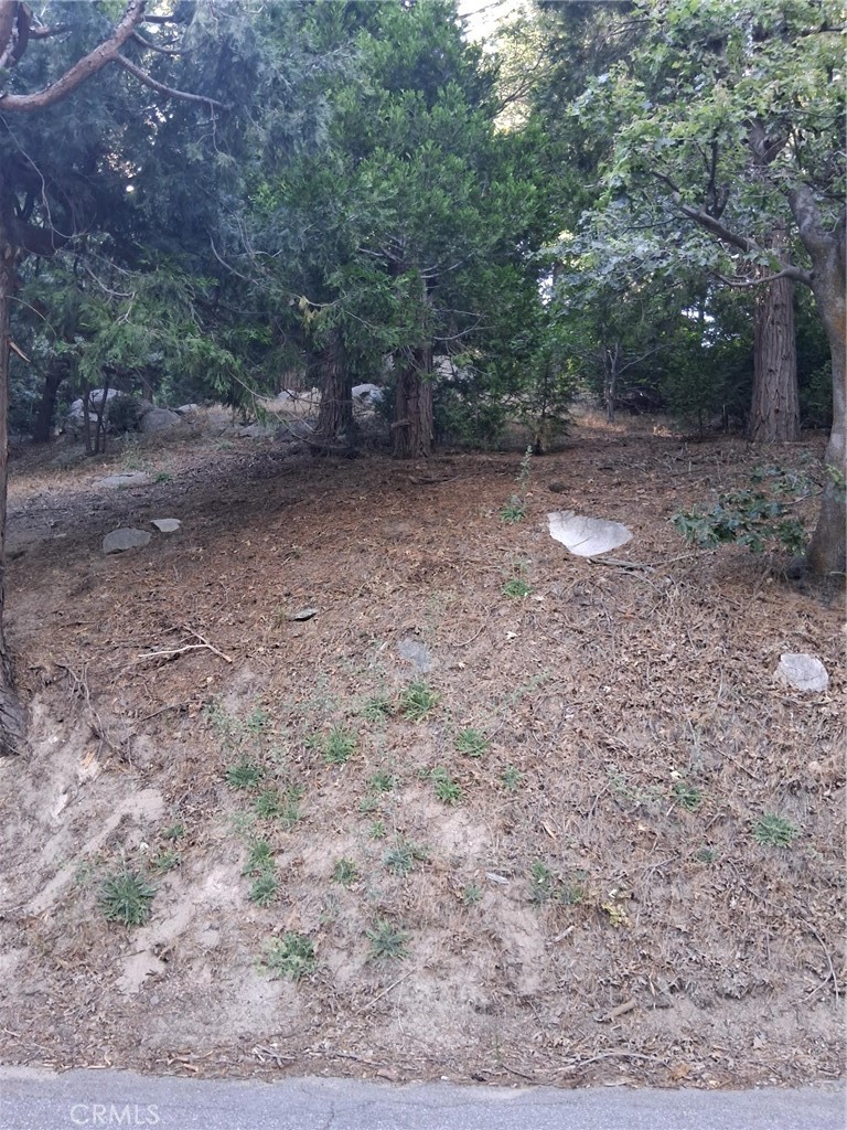 6 Finhaut Drive Property Photo 6
