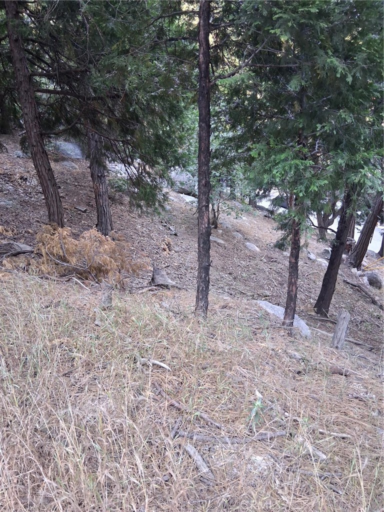 6 Finhaut Drive Property Photo 8