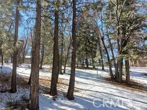 0 Columbine Property Photo 1