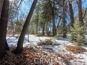 0 Columbine Property Photo 4