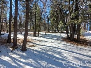 0 Columbine Property Photo 5