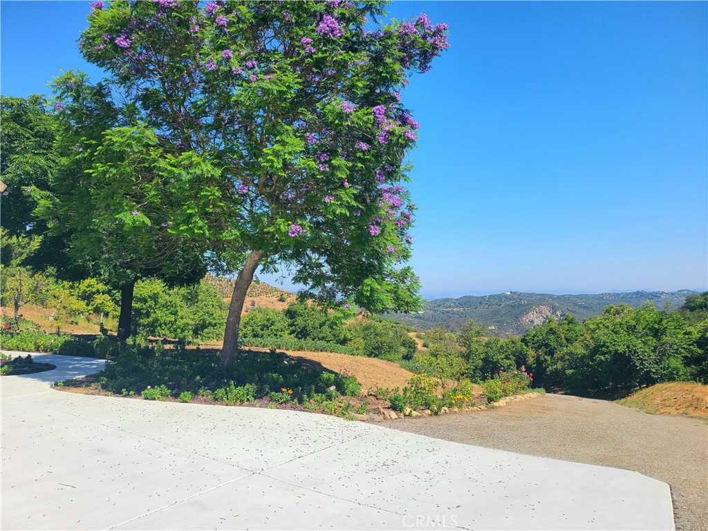 43605 Los Gatos Property Photo 39