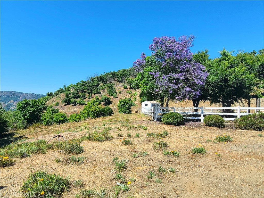 43605 Los Gatos Property Photo 48
