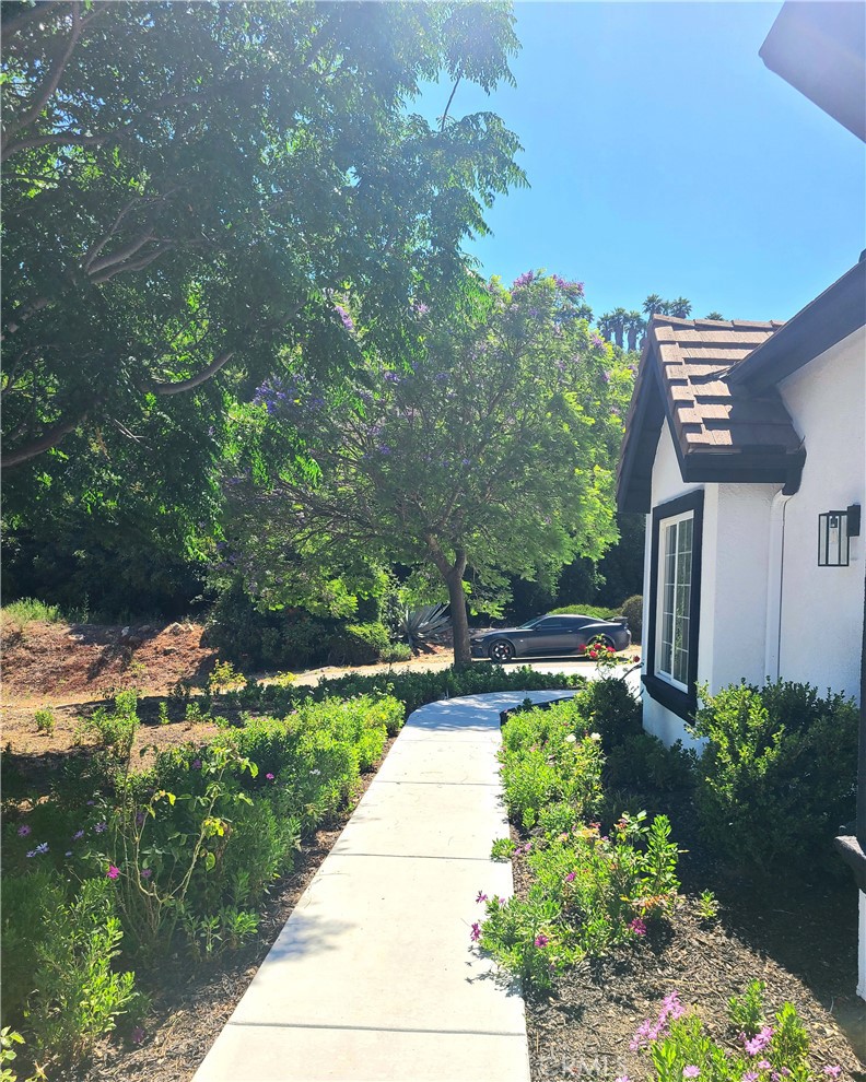 43605 Los Gatos Property Photo 49