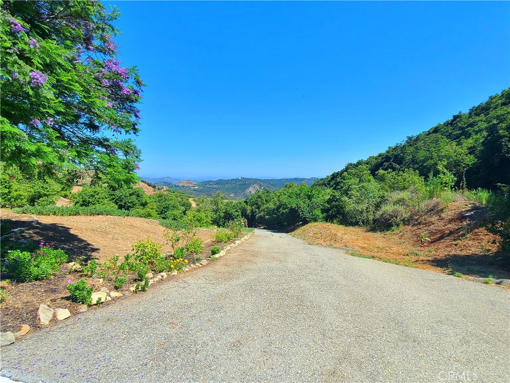 43605 Los Gatos Property Photo 54