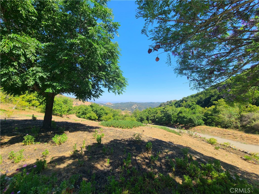 43605 Los Gatos Property Photo 55