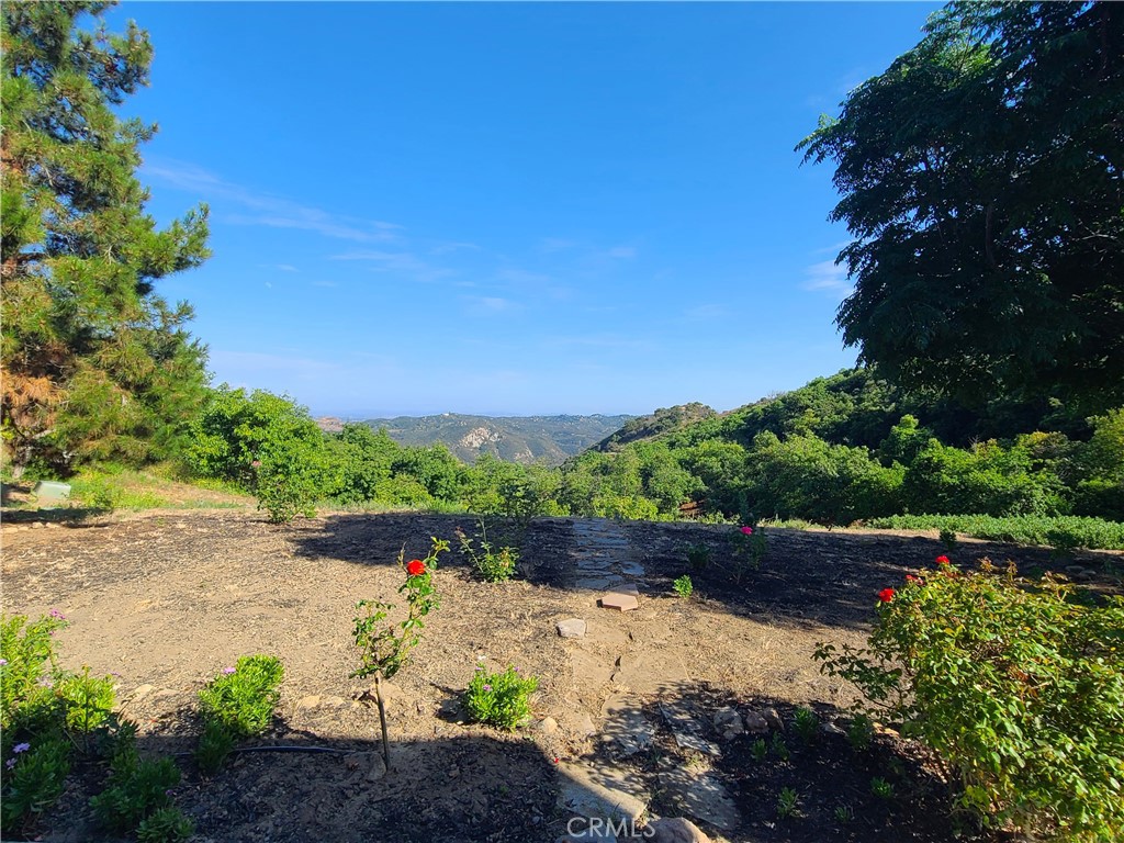43605 Los Gatos Property Photo 60