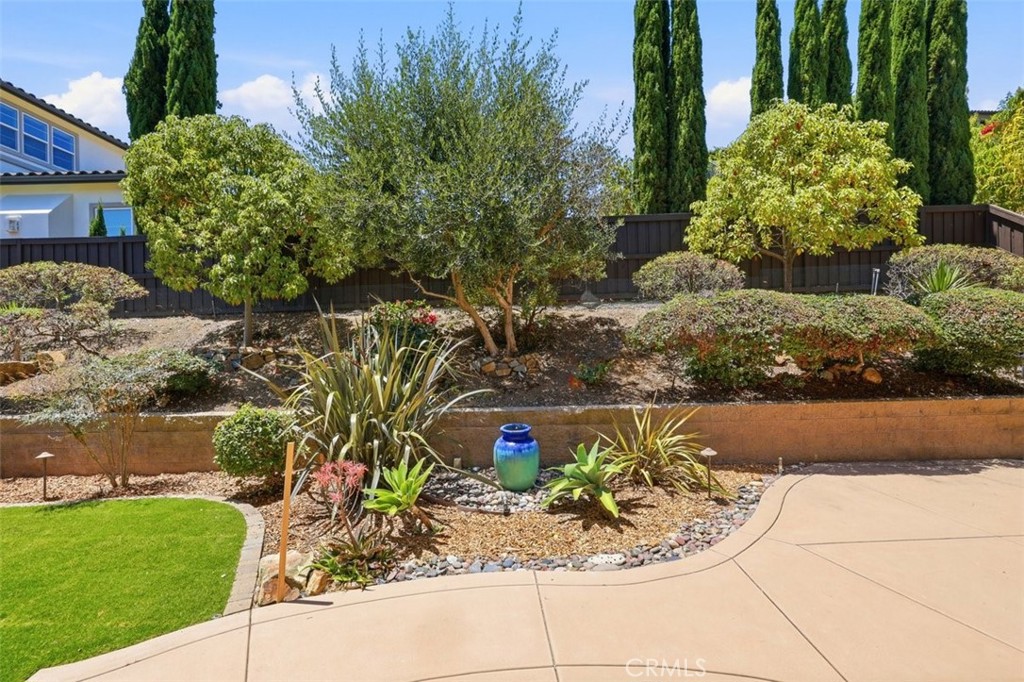 3453 Corte Fortuna Property Photo 39