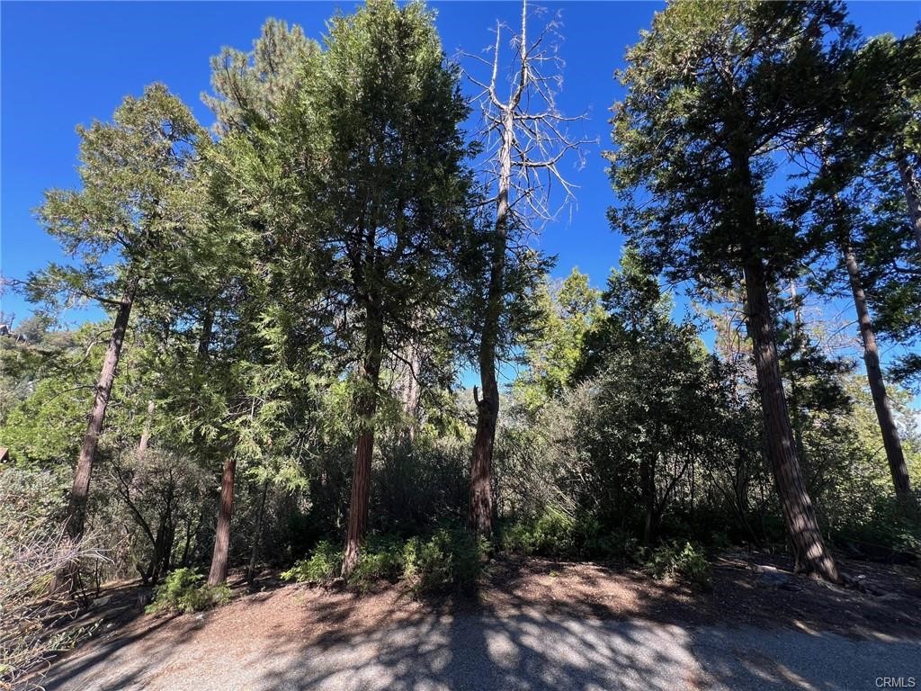 27530 North Bay Road Property Photo 3