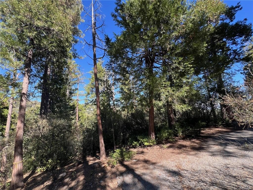 27530 North Bay Road Property Photo 4