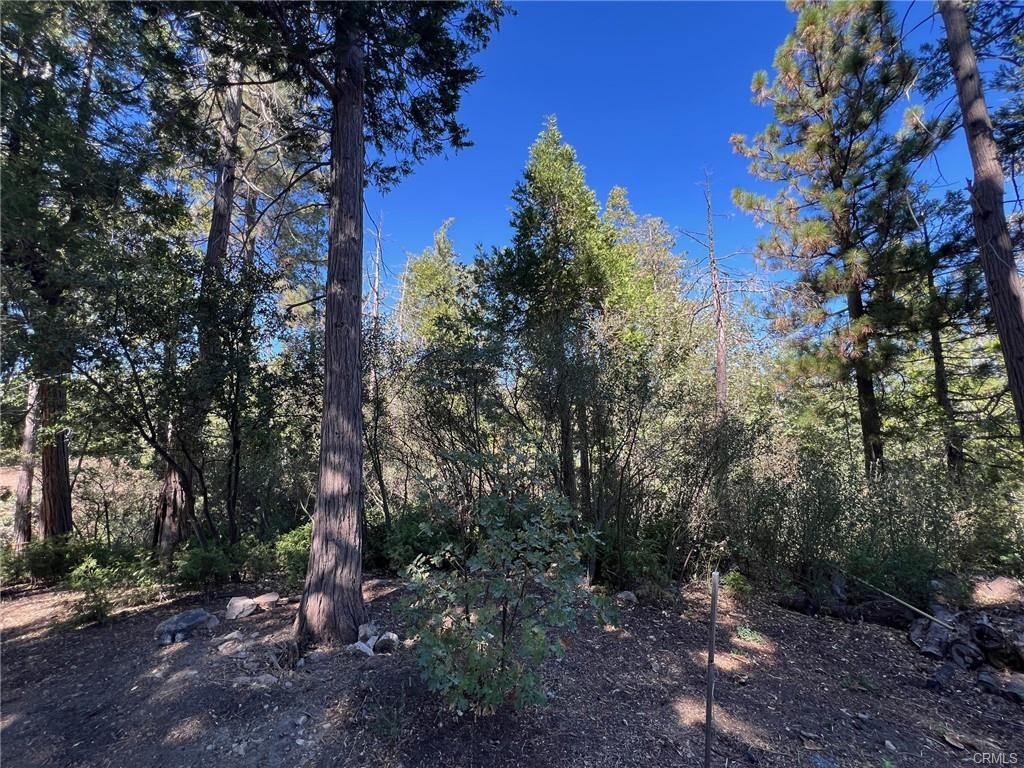 27530 North Bay Road Property Photo 6