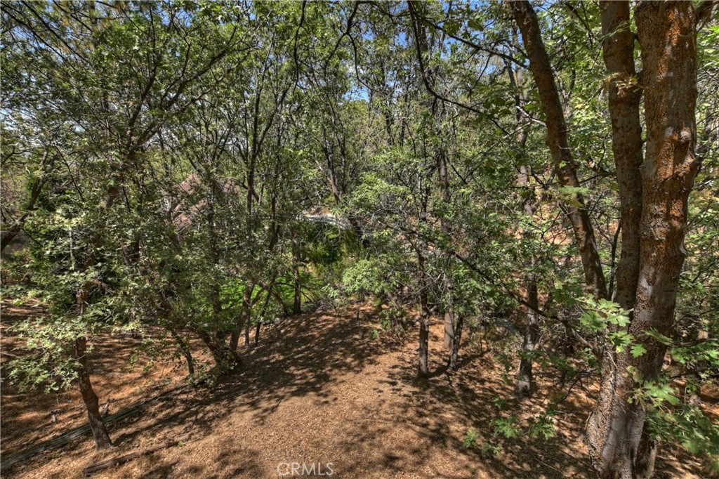 1308 Sequoia Property Photo 46
