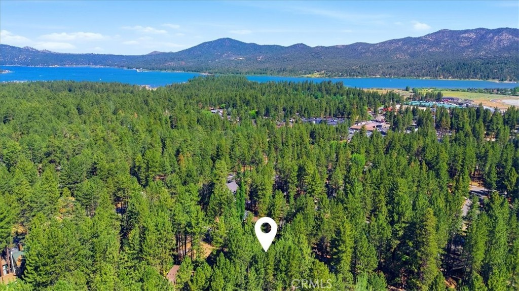 41941 Evergreen Property Photo 3