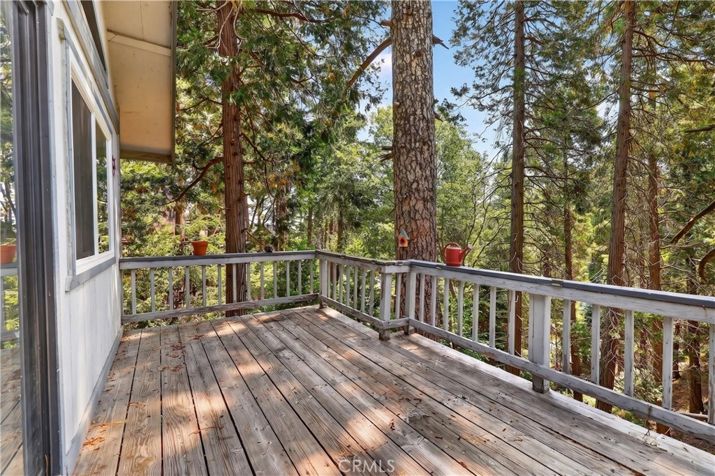 1039 Lausanne Property Photo 10