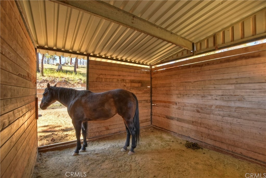 32745 Hilltop Property Photo 29