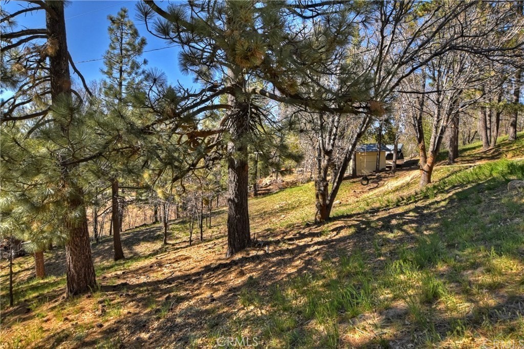 32745 Hilltop Property Photo 34