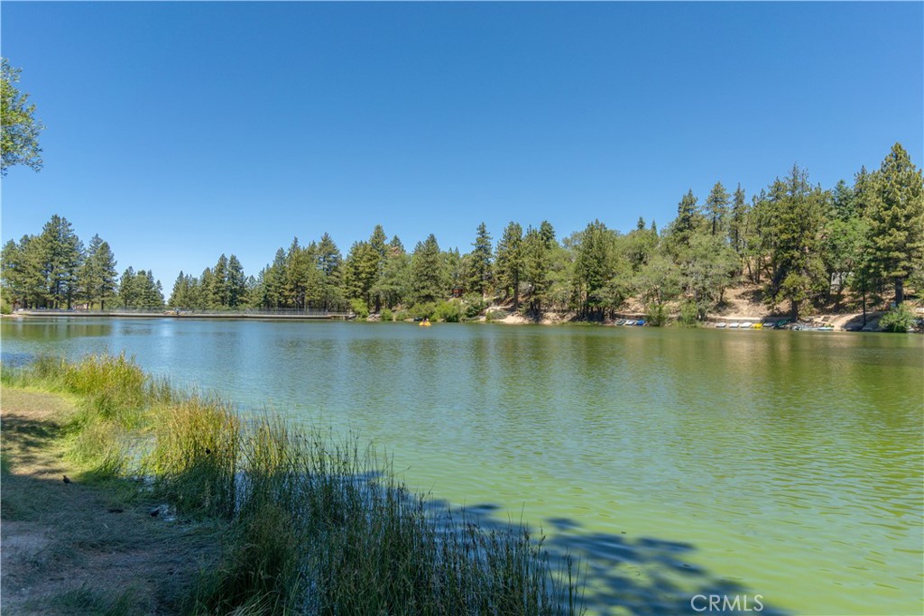 33163 Holcomb Creek Property Photo 45