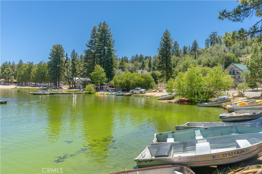 33163 Holcomb Creek Property Photo 46