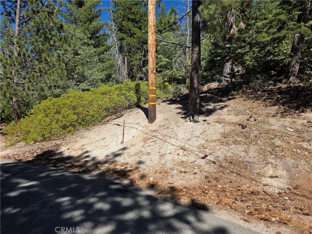 2419 Pine Drive Property Photo 4