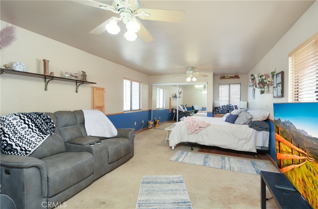 1529 Olive Property Photo 24