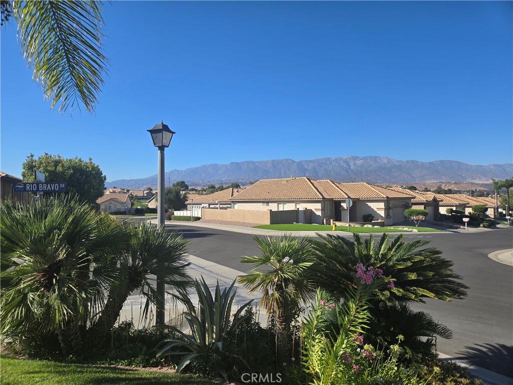 5001 Rio Bravo Property Photo 35