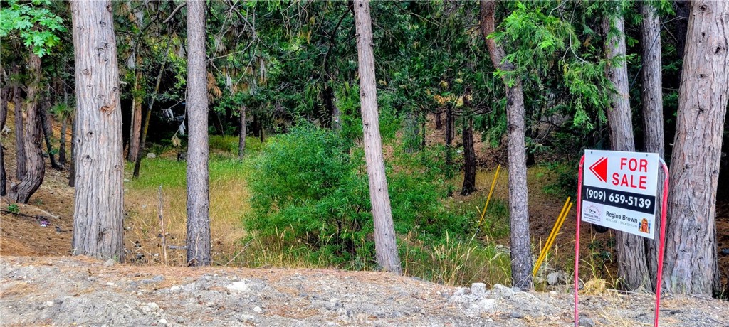 0 Grass Valley Property Photo 2