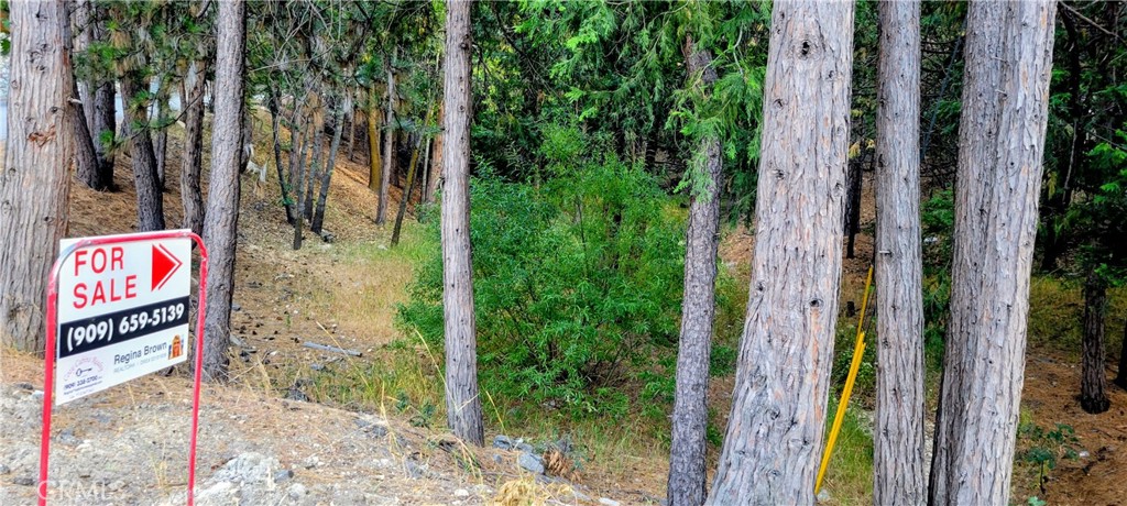 0 Grass Valley Property Photo 3