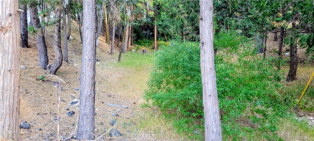 0 Grass Valley Property Photo 4