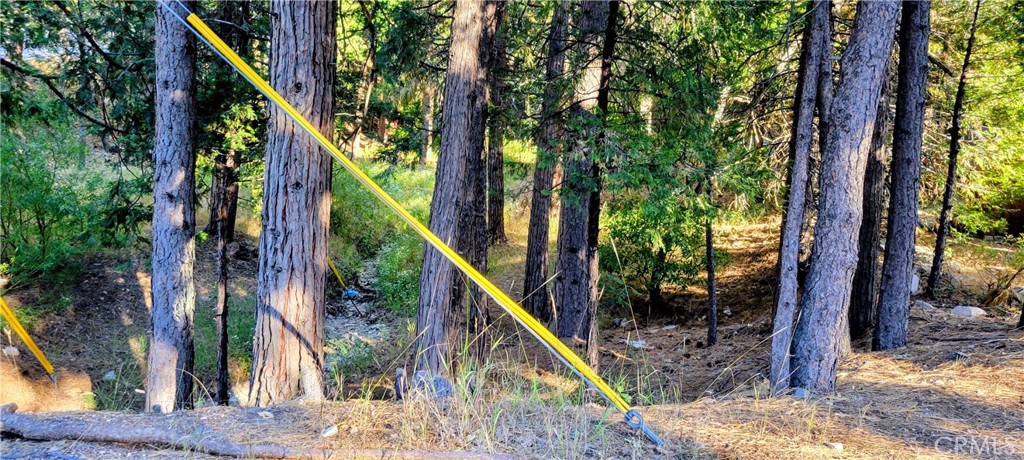 0 Grass Valley Property Photo 5