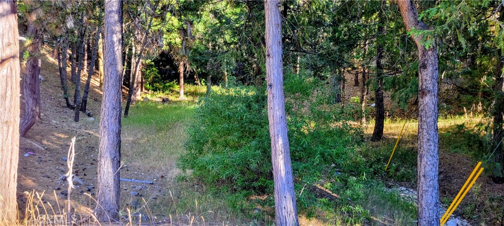 0 Grass Valley Property Photo 6